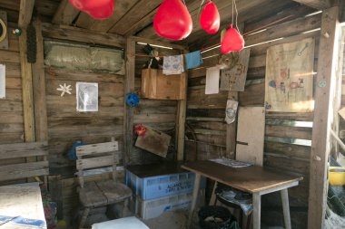 Amrum, Almanya - 02 Ocak 2018: Kniepsand Beach, inci üzerinde