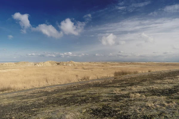 Praia de St. Peter-Ording na Alemanha — Fotografia de Stock