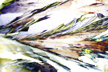 Polarize ışıktaki tartarik asit kristalleri