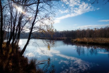 Almanya 'nın kuzeyinde Schleswig-Holstein eyâletinde Kaltenhofer Moor
