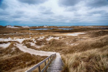 Almanya 'da Kuzey Frizya Adası' ndaki kum tepeleri