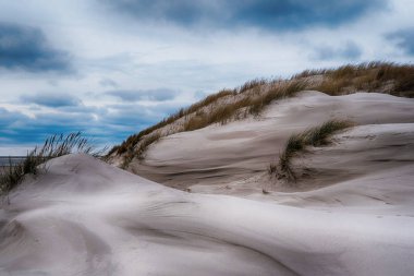 Almanya 'da Kuzey Frizya Adası' ndaki kum tepeleri