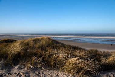 Almanya 'da Kuzey Frizya Adası' ndaki kum tepeleri