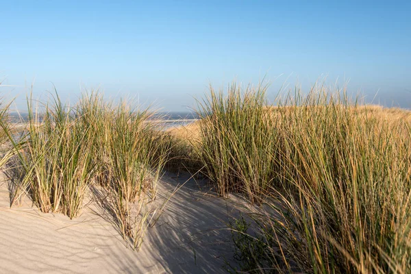 Дюны на северо-фризском острове Амрум в Германии — стоковое фото