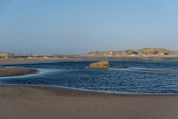 Dunes az észak-fríz Amrum szigeten Németországban — Stock Fotó