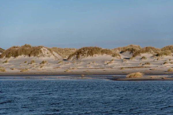 Dünen auf der nordfriesischen Insel Amrum — Stockfoto