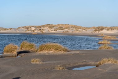 Almanya 'da Kuzey Frizya Adası' ndaki kum tepeleri
