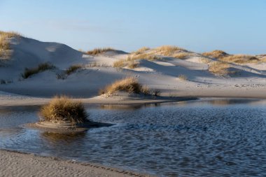 Almanya 'da Kuzey Frizya Adası' ndaki kum tepeleri
