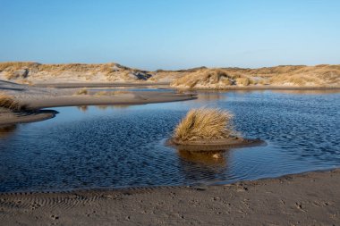 Almanya 'da Kuzey Frizya Adası' ndaki kum tepeleri
