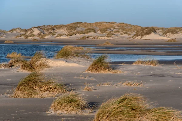 Dune sull'isola della Frisia Settentrionale Amrum in Germania — Foto Stock