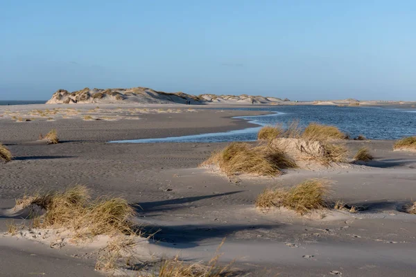 Dune sull'isola della Frisia Settentrionale Amrum in Germania — Foto Stock