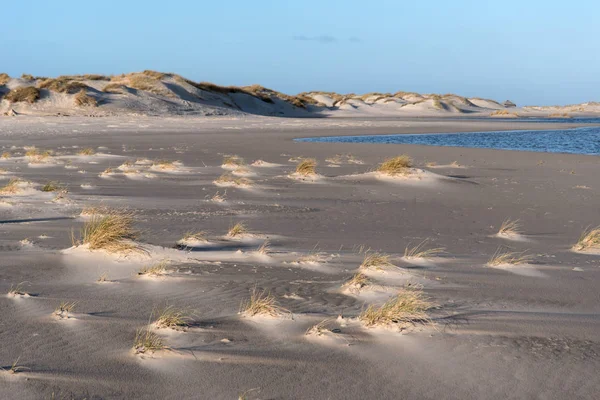 Dune sull'isola della Frisia Settentrionale Amrum in Germania — Foto Stock