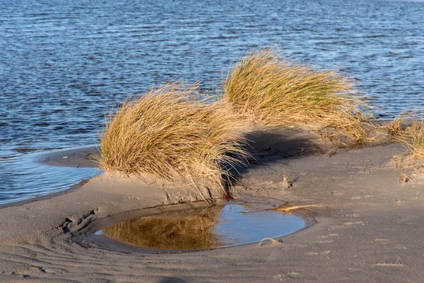 德国北弗里斯兰岛上的沙丘 — 图库照片