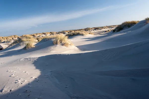 Dünen auf der nordfriesischen Insel Amrum — Stockfoto
