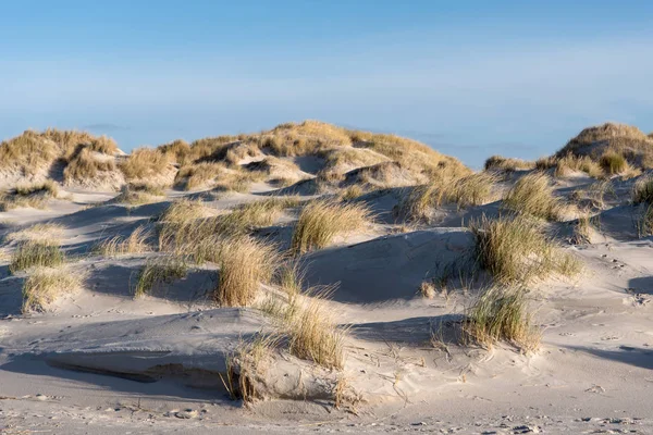 Duinen op het Noordfriese eiland Amrum in Duitsland — Stockfoto