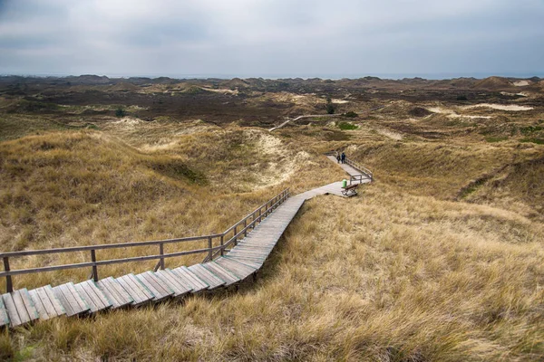 Dünen auf der nordfriesischen Insel Amrum — Stockfoto