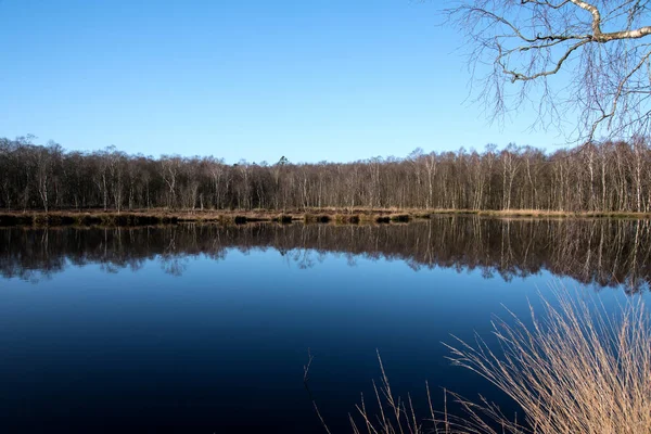 Kaltenhofer Moor Schleswig Holstein Alemanha — Fotografia de Stock