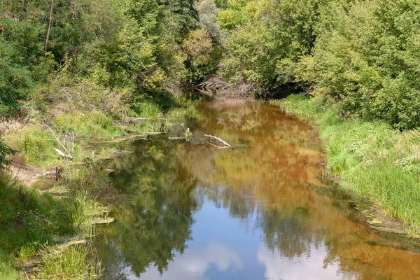 Autumn Rechka Psel harika bir ekran koruyucu olacak.