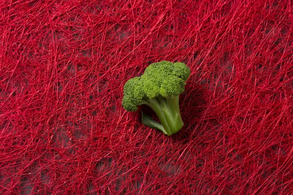 Ramo Broccoli Sfondo Rosso — Foto Stock