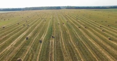 Hasır saman balyalarıyla buğday ya da çavdar tarlası üzerinde uçmak. Ziraat tarlasında kırsal havadan 4k video tarlası hasat edin. Ekmek üretim konsepti.