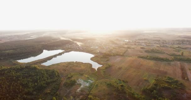 Forest lake bij dageraad die luchtfoto Drone vluchten — Stockvideo