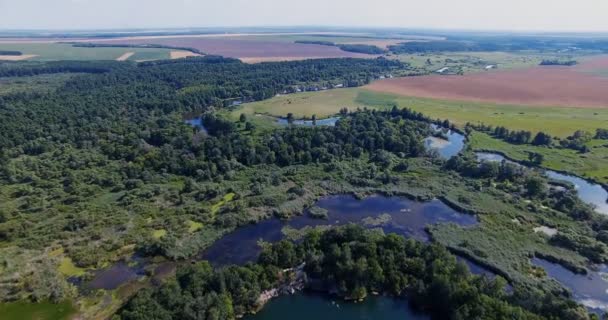 Lesní jezero za úsvitu, které lety letecké DRONY — Stock video
