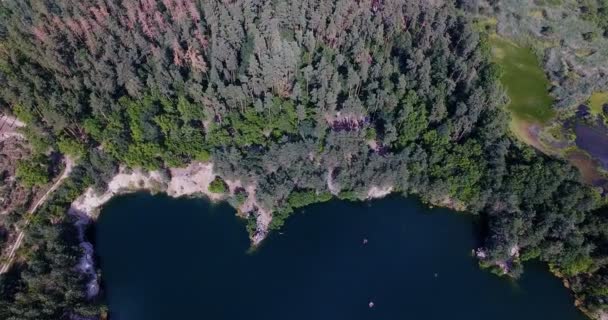 Lacul forestier la zorii zborului Aerial Drone — Videoclip de stoc