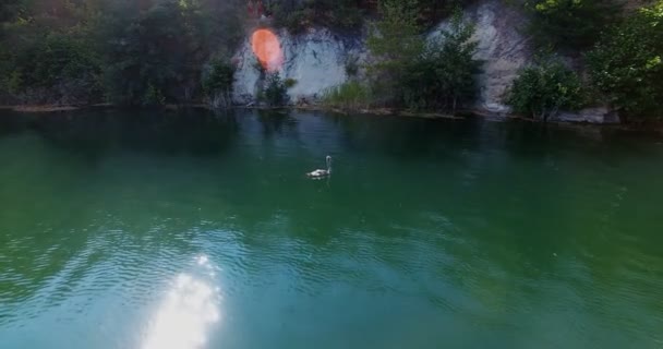 Lac forestier à l'aube Vols par drone — Video