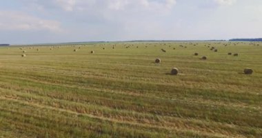 Alandaki küçük yerfıstığı bitkisinin hava görüntüsü ve yüksek voltaj kulesi. Toprak, yeşil.