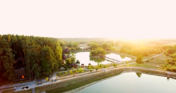 Amazing forest lake among scenic green pine woods. — Stock Video