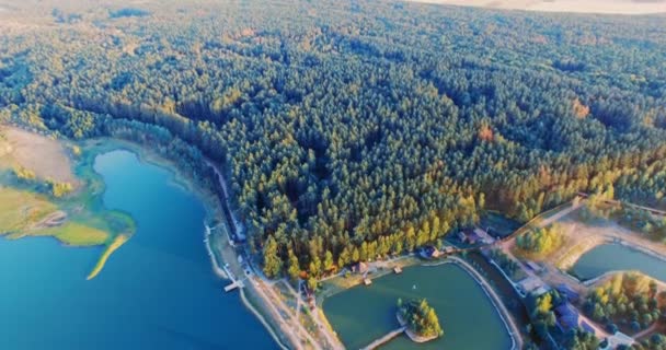 Atardecer increíble lago bosque entre pinares verdes bosques de pinos . — Vídeo de stock