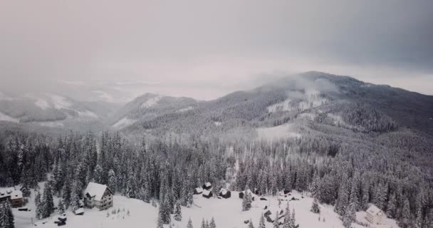 Вид с воздуха на заснеженный лес с высокими соснами — стоковое видео