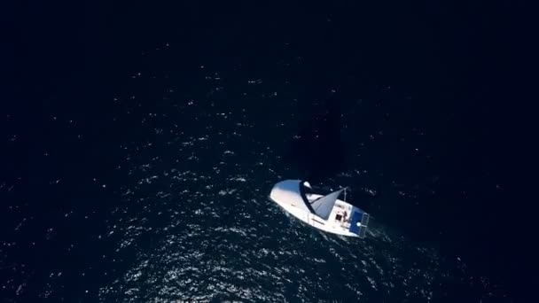 Top down drone shot van een jacht zeilen door de diepblauwe oceaan met het kabbelende licht eronder — Stockvideo