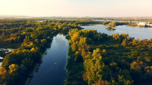 Спокойная чистая река течет между зелеными деревьями. Вид с воздуха — стоковое видео