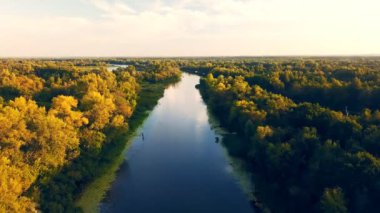 Sakin, temiz nehir yeşil ağaçlar arasında akar. Hava görünümü