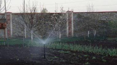 Bahçıvanlık teknolojisi. Evin arka bahçesindeki otomatik sulama sistemi.