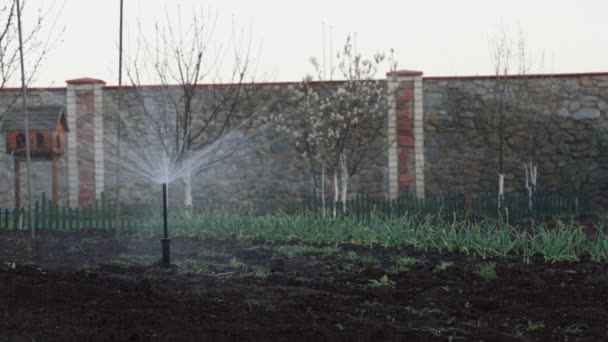 Ein schöner grüner Hausgarten wird mit einem automatischen Bewässerungssystem bewässert. — Stockvideo