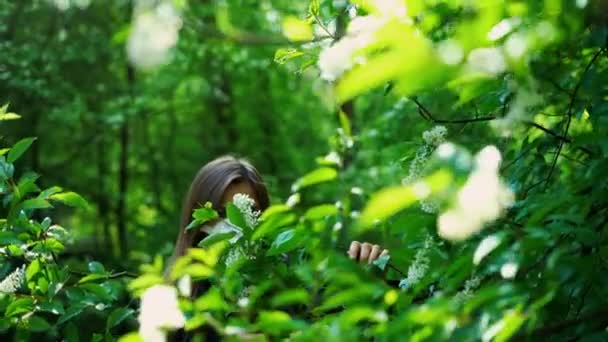 医療用マスクの女性は、枝に花の匂いを嗅ごうとして、開花木の近くの緑の森の上に立っています。Covid-19 — ストック動画