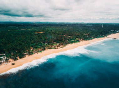Sri Lanka, Tangalle bölgesinin güney kıyısında palmiye ağaçları olan güzel, ıssız bir kumsal.