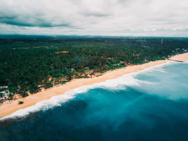 Sri Lanka, Tangalle bölgesinin güney kıyısında palmiye ağaçları olan güzel, ıssız bir kumsal.