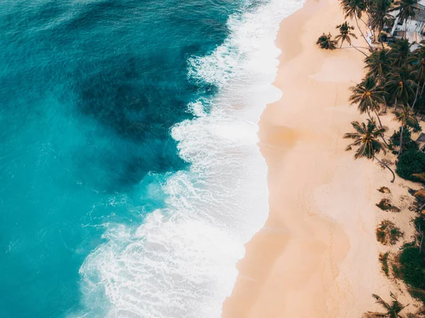 Playa soleada, arena dorada y azul océano y palmeras verdes, hermosa vista desde el dron . Fotos De Stock