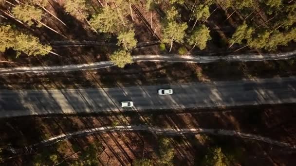 Автомобілі їдуть по дорозі через ліс . — стокове відео