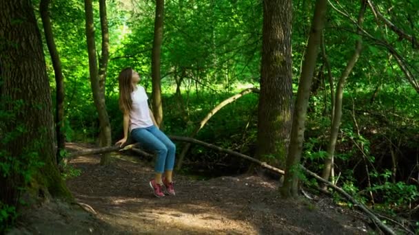 Linda chica se sienta en un árbol en el bosque verde — Vídeo de stock