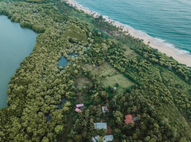 İnsansız hava aracından okyanusa, nehre ve yeşil ormana bakın.