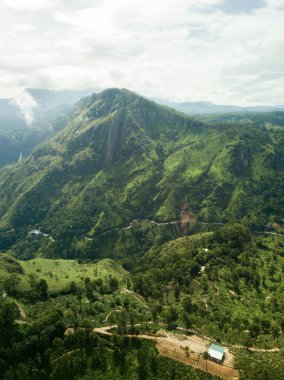  Adams Little Peak. Yeşil ve güneşli Sri Lanka 'daki çay çiftliğinin insansız hava aracı görüntüsü.