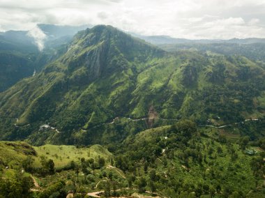  Adams Little Peak 'in manzarası çok güzel. İHA görüntüsü. Çay çiftliği. Yeşil ve güneşli Sri Lanka.