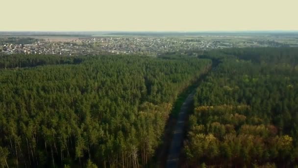 Disparo de drone. Floresta Verde, estrada e aldeia — Vídeo de Stock