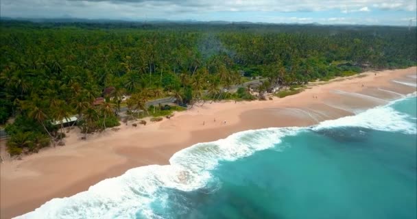 Palmeiras na costa do Oceano Índico na praia em Hikkaduwa, Sri Lanka . — Vídeo de Stock