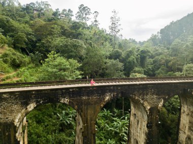 İnsansız hava aracının görüntüsü. Yukarıdan dokuz kemer köprüsü, Sri Lanka. Kız köprüde tek başına oturuyor.