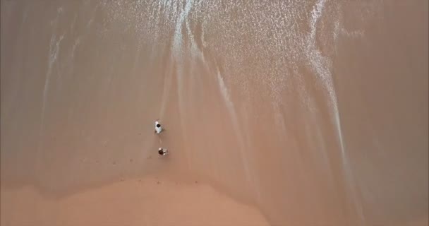 El tipo hace que la chica ofrece en el océano, alrededor de nadie solo una playa soleada y palmeras. Vista desde el dron — Vídeos de Stock